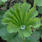 Krzysia Avatar