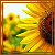 Agnieszka Avatar