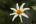 takasobie Avatar
